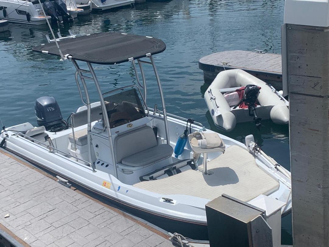 Other Boats For Sale by owner | 2003 18 foot Other Triumph