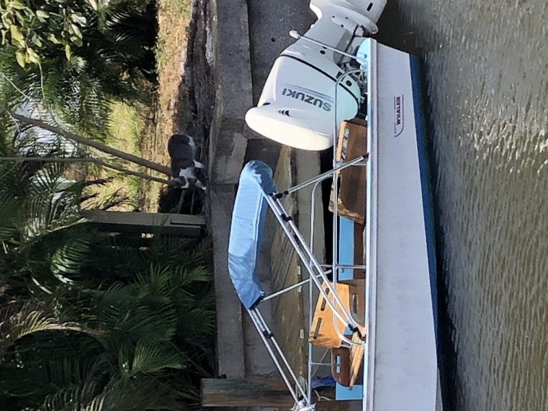 Boats For Sale in Cape Coral, Florida by owner | 1973 16 foot Boston Whaler Montauk