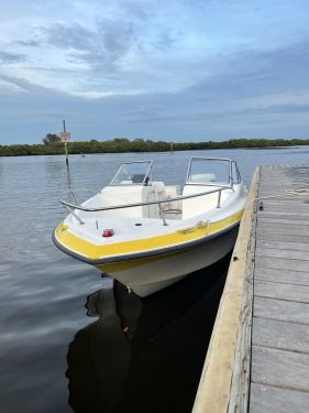Boats For Sale in Florida by owner | 1996 Sunbird Neptune 201, Sunbird