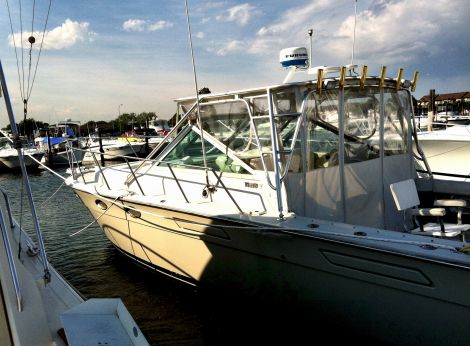 1987 31 foot tiara cruiser Power boat for Sale in East Rockaway, NY